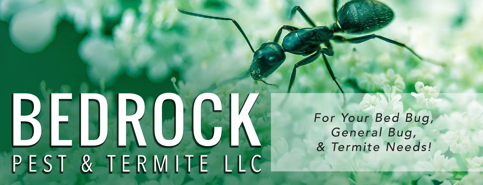 Bedrock Pest & Termite LLC, Fumigación y Plagas en Lancaster, Estados Unidos