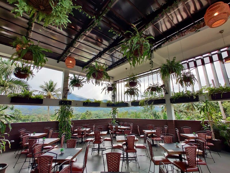 Michi Restaurant & Café